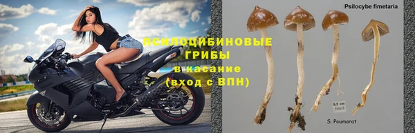 бошки Балабаново